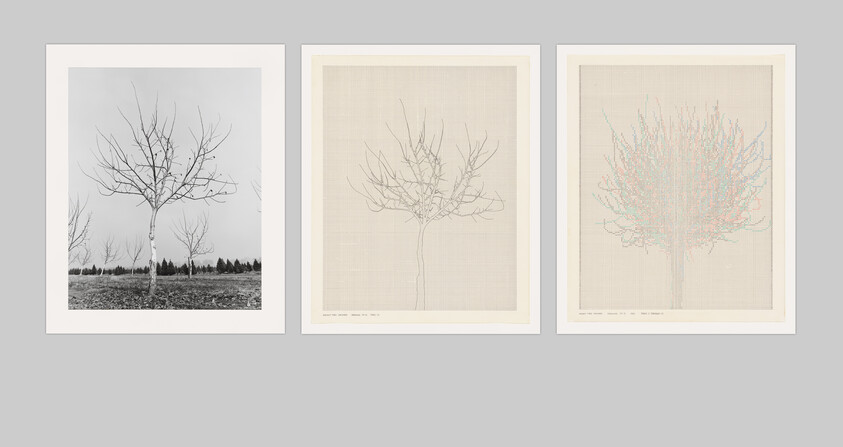 Three framed prints show a bare tree photograph, a precise line drawing, and a colorful branched overlay.