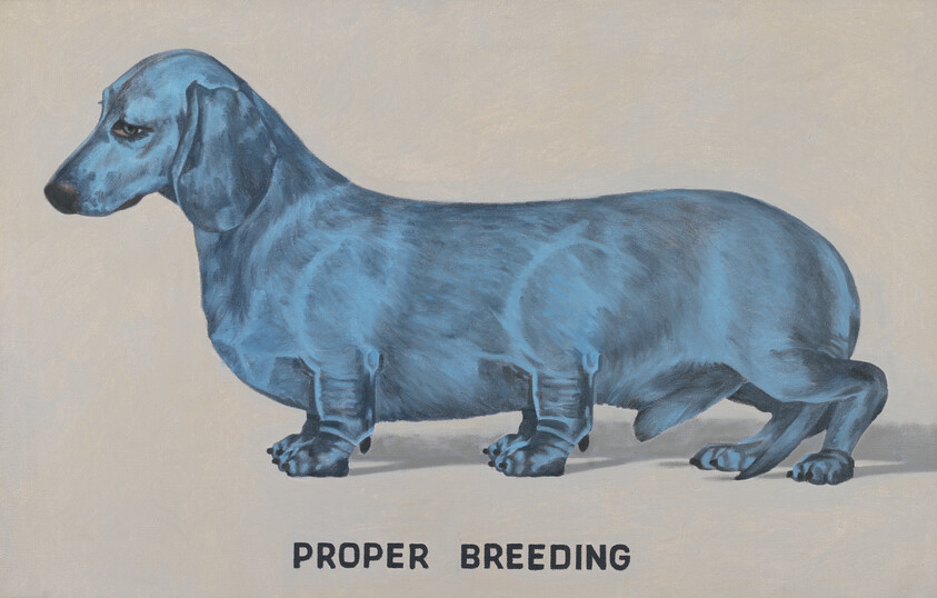 A blue dachshund stands above the words Proper Breeding on a plain background.