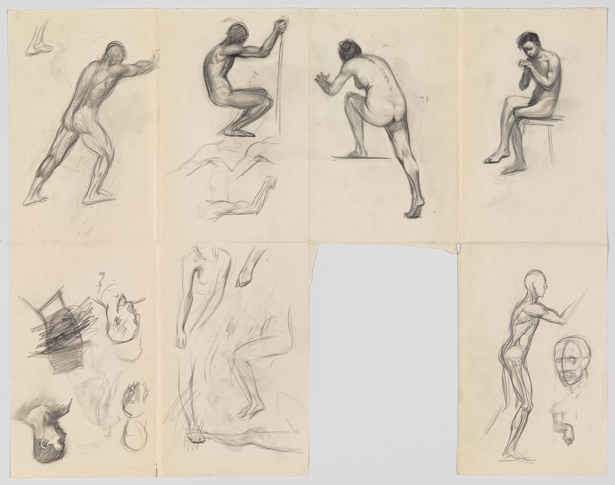 Multiple charcoal figure sketches showing nude male poses and anatomical studies across unfolded paper.