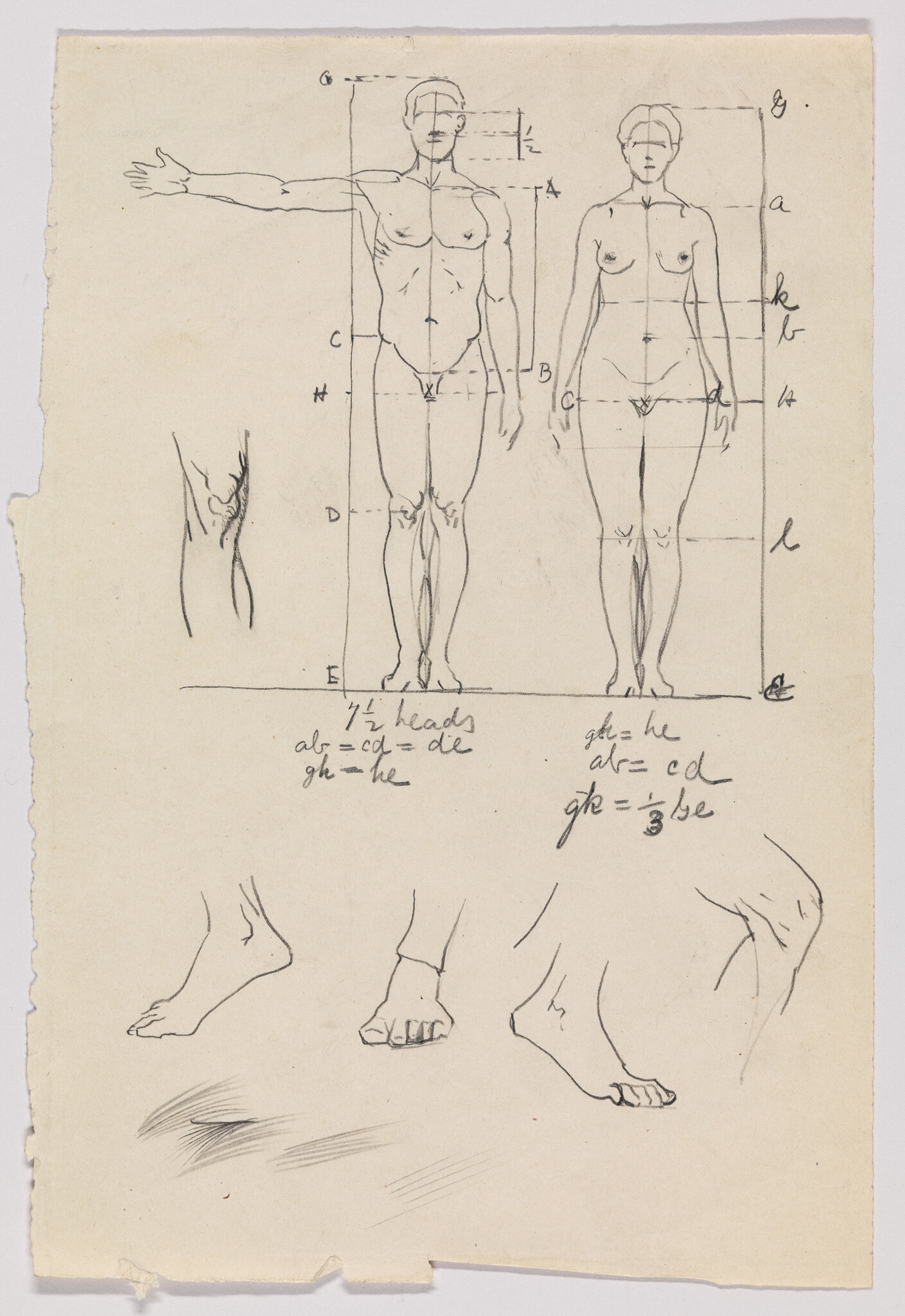 Two standing anatomical figure sketches with measurement lines and separate foot studies below.
