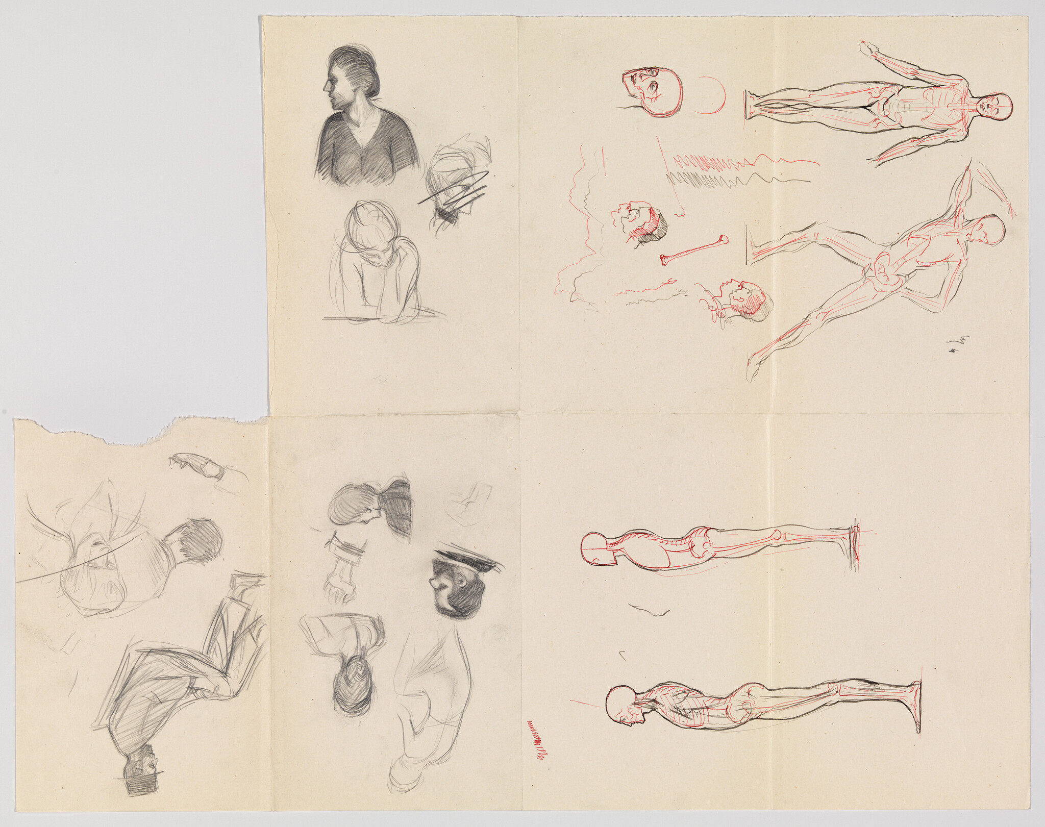 Sheet of anatomical and figure sketches showing human body poses and muscle studies.
