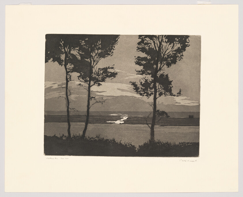 Three tall trees stand on a shoreline with a bright reflection of water leading to the horizon.