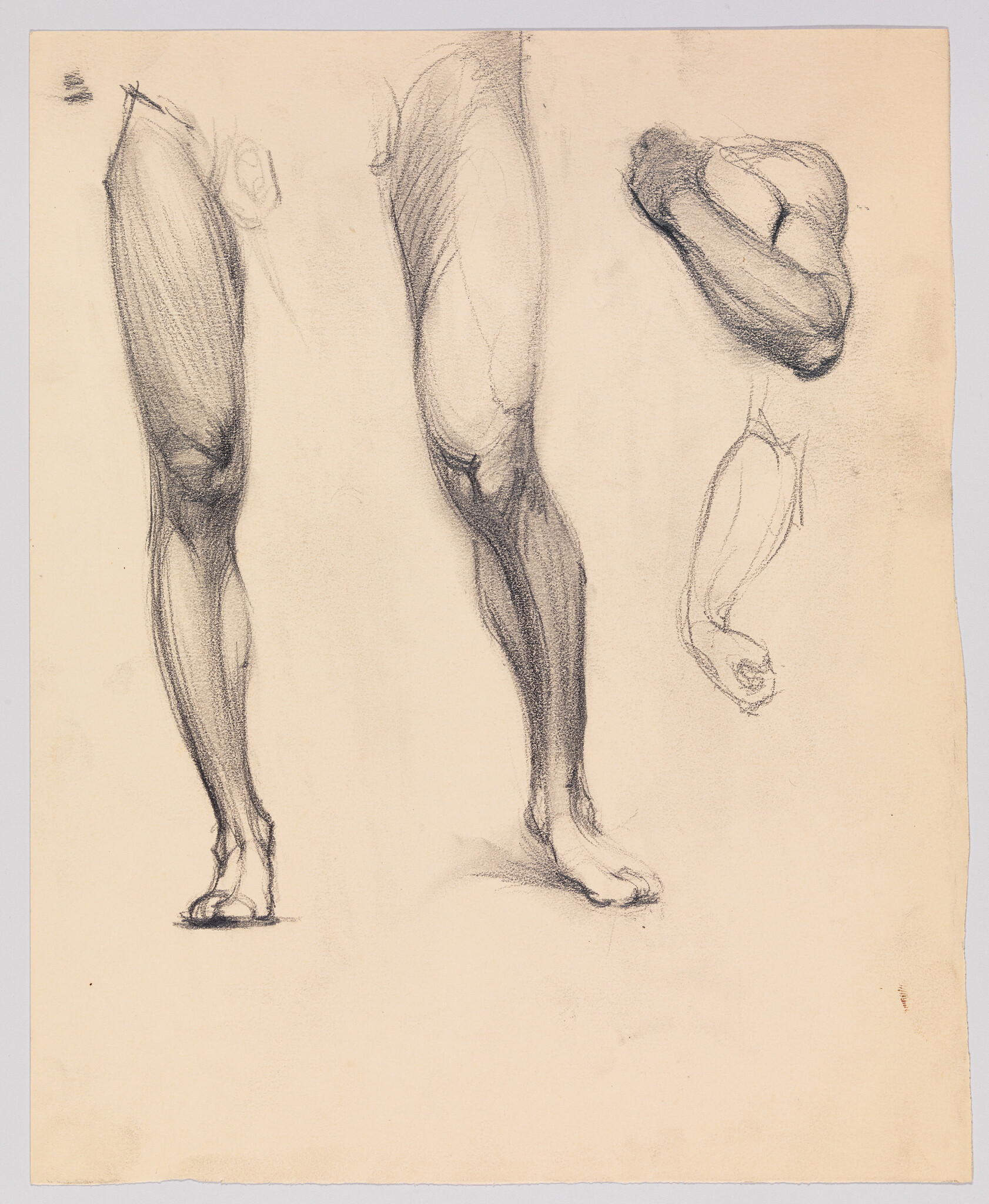 Several charcoal sketches showing human leg studies from different angles and a small arm sketch.