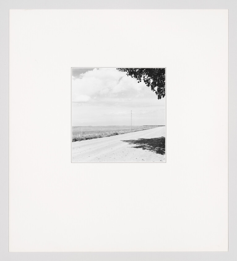 A lonely dirt road stretches toward the horizon with a lone utility pole and tree shadow.