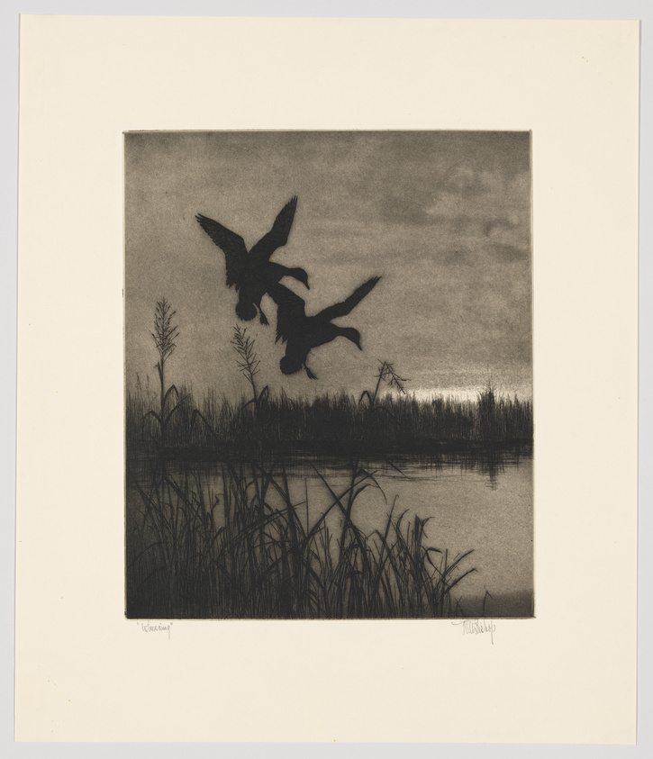 A monochromatic etching depicting two ducks in flight over a tranquil marshland at dusk, with silhouetted reeds in the foreground and sparse, leafless trees in the background. The artist's signature is visible in the lower right corner.