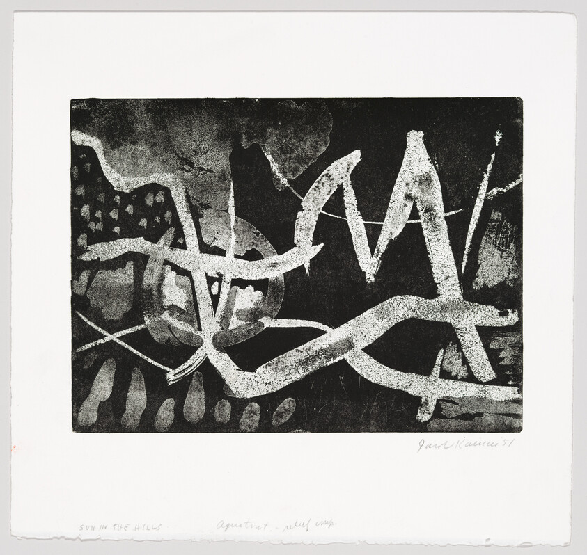 Abstract black-and-white print with bold white brushlike curves crossing a textured dark background.