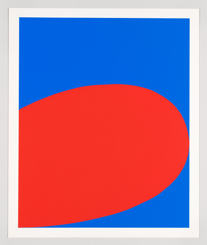 Large red oval overlaps bright blue background inside a white rectangular frame.