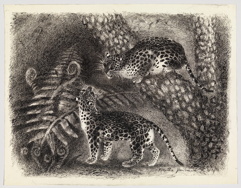 Two leopards interact on and under a tree branch in dense forest foliage.