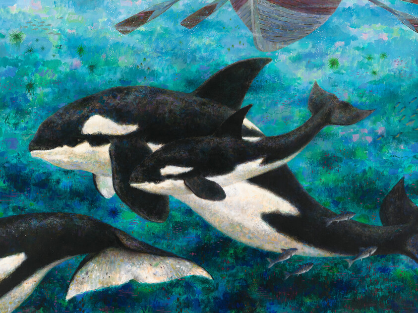 A pod of orcas, including a calf, swims beneath a wooden boat in turquoise water.