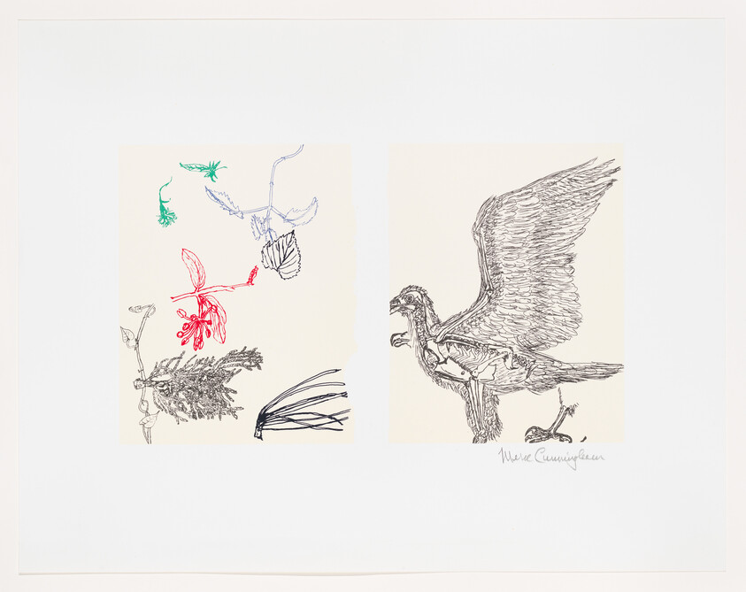 A print featuring two panels with sketched illustrations of birds and insects. The left panel has colorful drawings of a dragonfly, a butterfly, and a red insect, all in flight above a plant. The right panel shows a detailed black and white sketch of a large bird with outstretched wings, possibly a mythical creature, resembling a griffin. The artist's signature is visible at the bottom right.