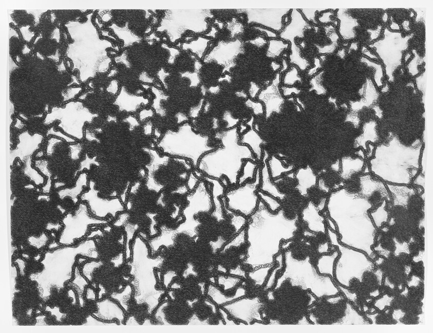 Tangled dark clusters and winding strands spread across a white background like an abstract network.