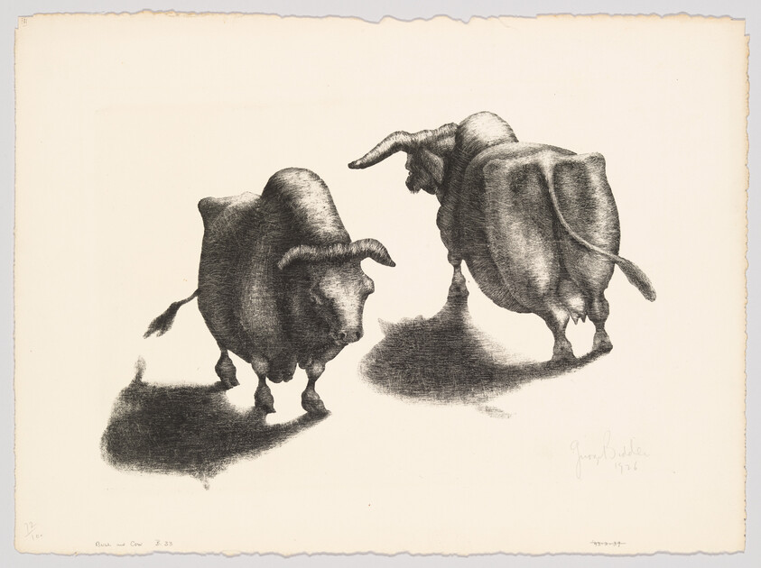 Two bulls standing and facing each other in a detailed black ink sketch with shadows.
