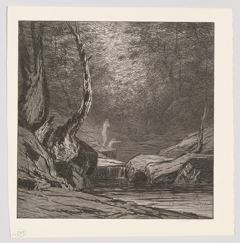 Two small figures stand beside a shaded forest stream with rocks and a gentle waterfall.