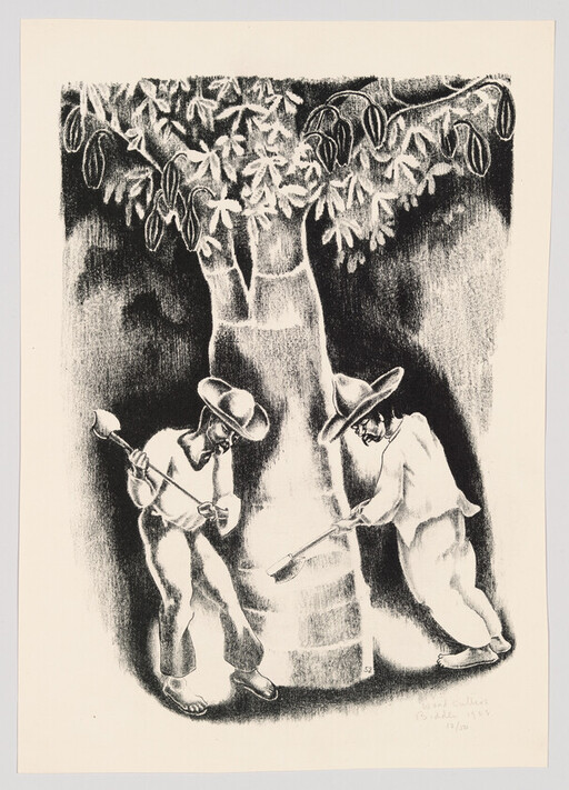 Two men in wide-brimmed hats dig at the base of a large tree with shovels.