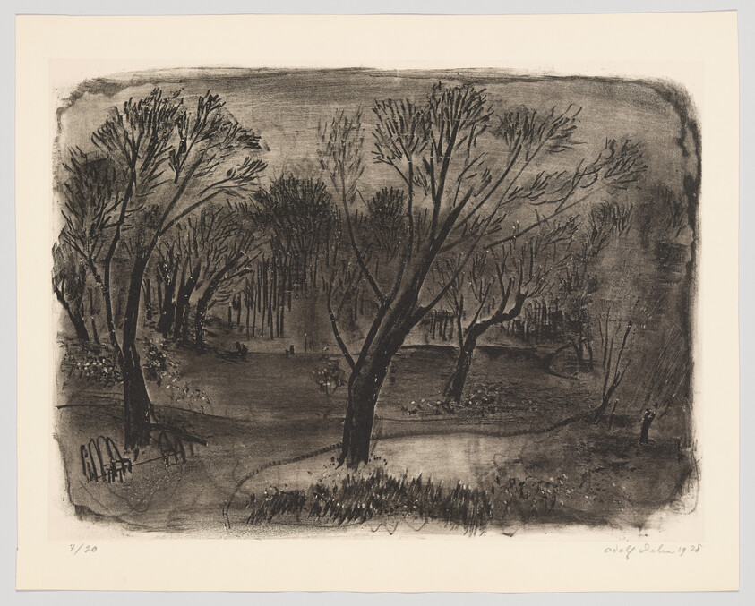 Bare trees surround a small pond in a quiet, shadowed park setting.