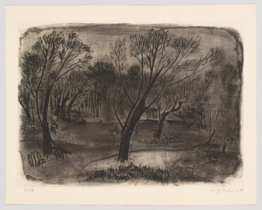 Bare trees surround a small pond in a quiet, shadowed park setting.