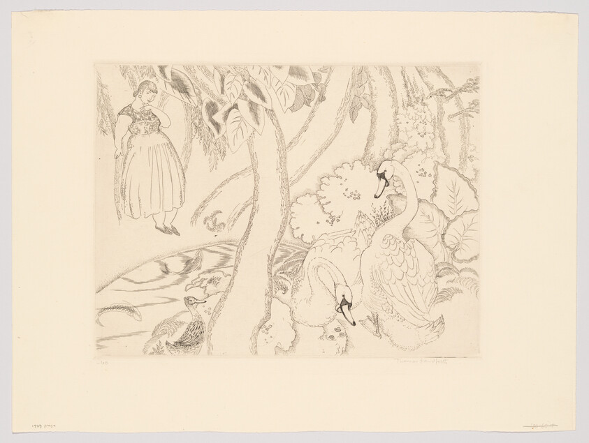 A detailed pencil drawing depicting a serene scene with two swans in the foreground surrounded by lush vegetation. On the left, a woman in period clothing stands under a tree, observing the swans. The artwork has a tranquil and picturesque quality, reminiscent of a fairy tale illustration.