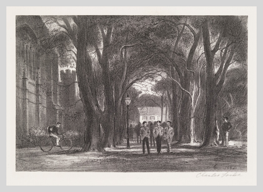 A tree-lined pathway with students walking in groups and a cyclist passing at dusk.