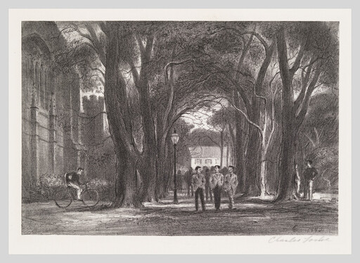A tree-lined pathway with students walking in groups and a cyclist passing at dusk.
