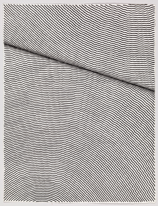 Black and white op art piece featuring a dense pattern of wavy lines that create a hypnotic, moiré effect, with a noticeable disruption in the pattern running diagonally across the image.