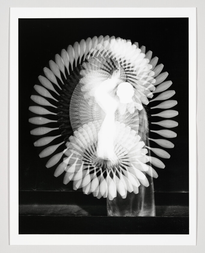 A black and white photograph featuring a blurred motion effect of a bird spreading its wings, creating a circular pattern of feathers around its body. The image is framed with a white border.