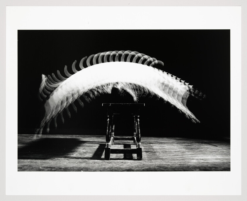 A dog captured in multiple exposures leaping in an arched path over a small wooden stool.