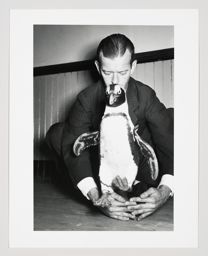 A man in a suit holds a penguin upright on the floor with both hands.