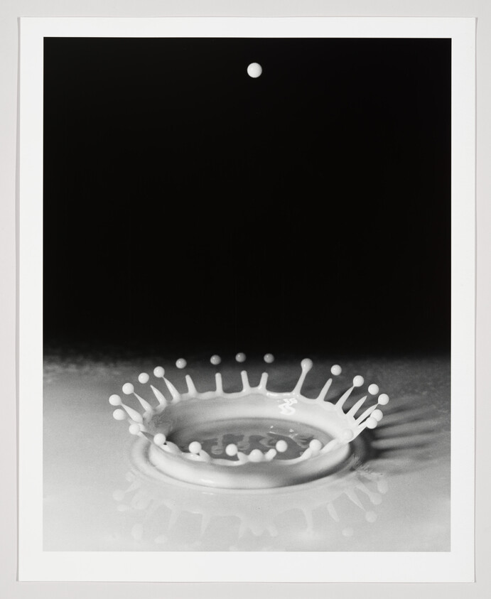 A single droplet falls into milk, forming a round crown splash with small droplets.