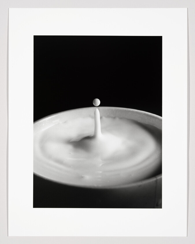 A single milk droplet hovers above a column rising from milk in a cup.