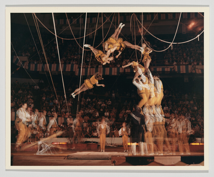 A troupe of acrobats in yellow costumes performing aerial flips and forming a human tower above the ring.