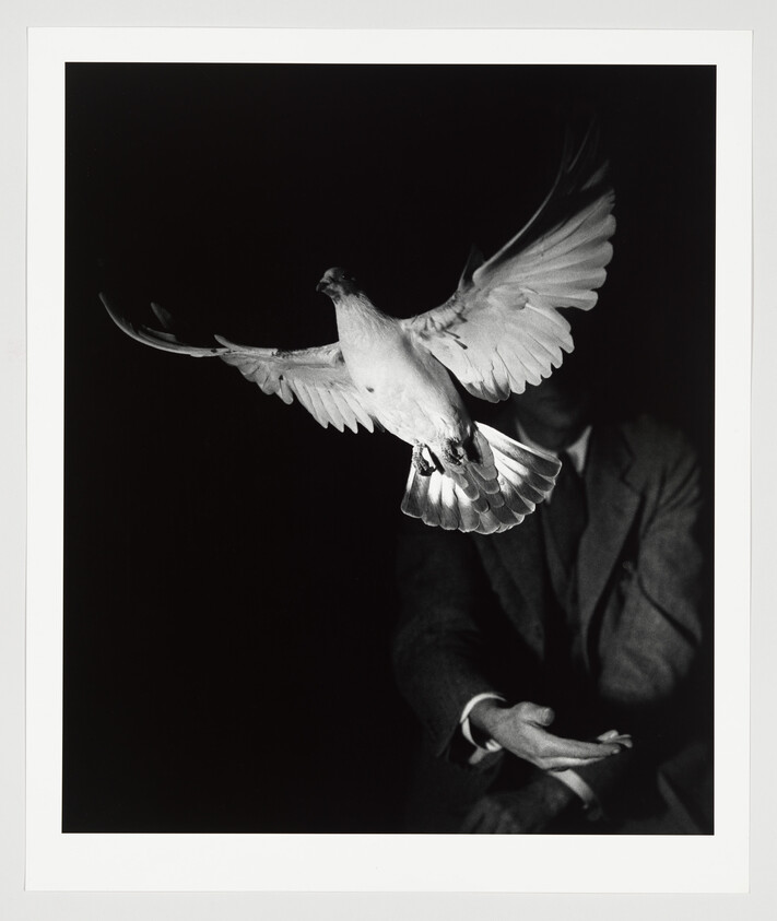 A white dove flies upward from a man's outstretched hand against a dark background.