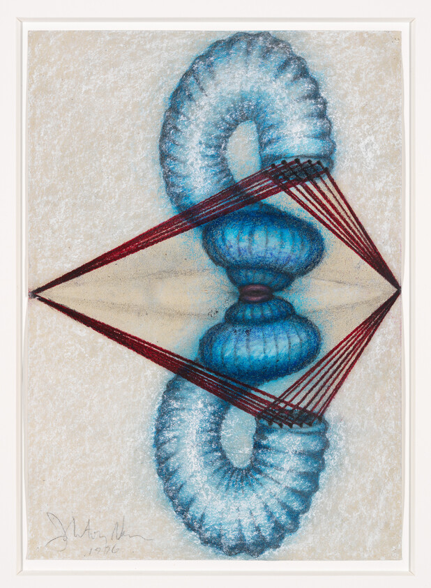 Abstract blue torus-like forms connected by red strings forming a diamond shape in the center.