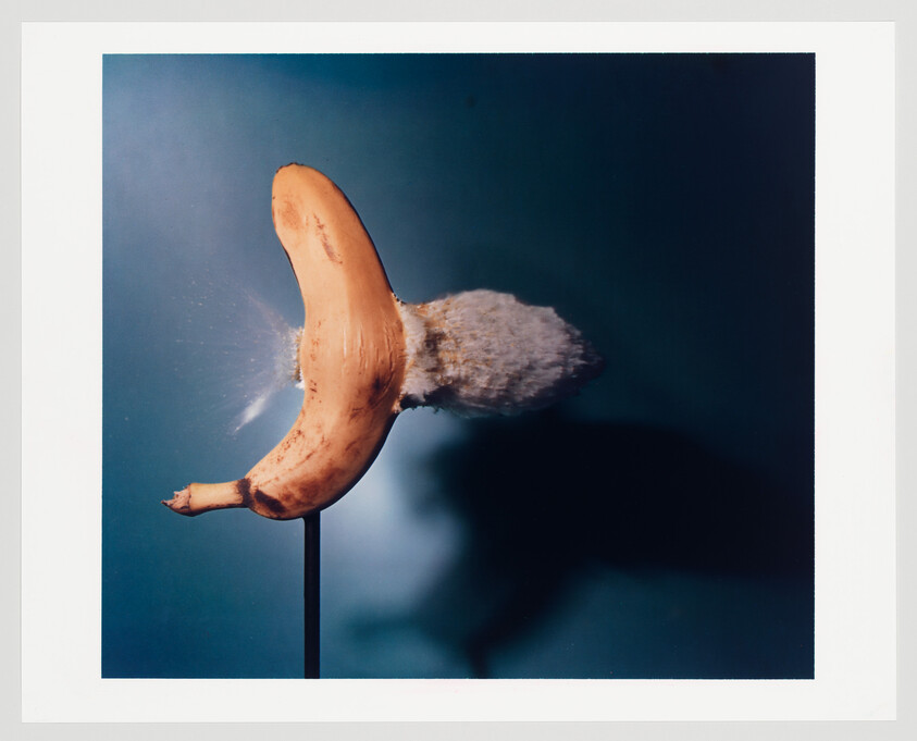 A photograph of a banana impaled on a stick, with the fruit appearing to be in motion or exploding, creating a cloud of particles around its burst end, against a blue background.