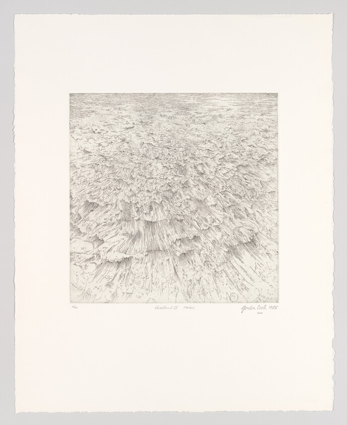 A finely detailed etching shows radial layered ridges and intricate fine lines forming a textured landscape.