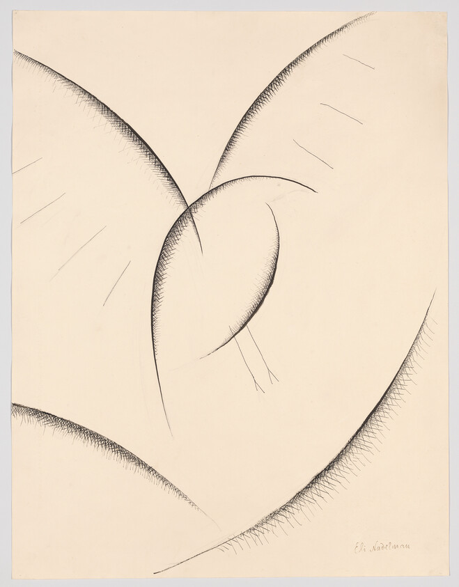 Curved abstract lines form a central oval shape with feathered shading on a cream background.