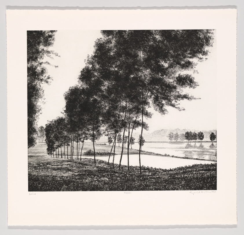 A quiet lakeshore with a row of thin trees standing by a reflective pond and distant hills.