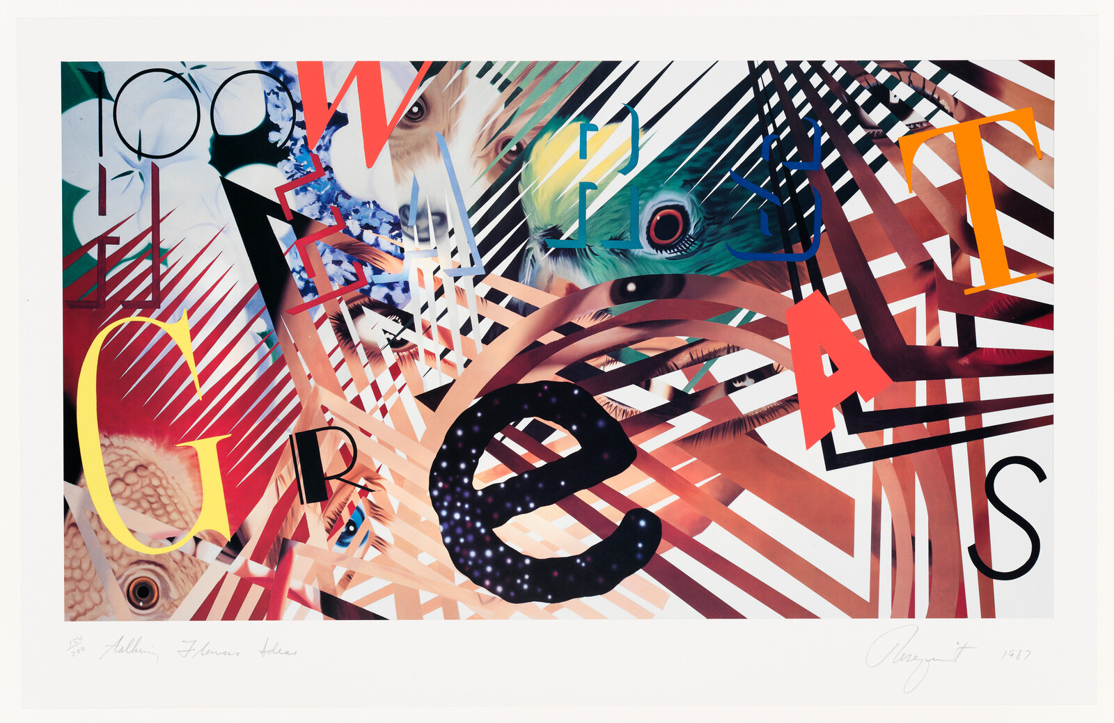 Colorful collage of letters and bird eyes layered with diagonal stripes and geometric shapes.