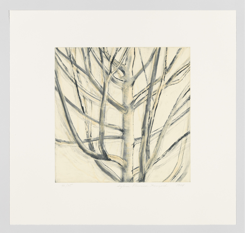 A pencil sketch of a dense cluster of tree branches without leaves, presented on a square piece of paper with a wide border. The artwork is signed and numbered at the bottom, indicating it's part of a limited series.