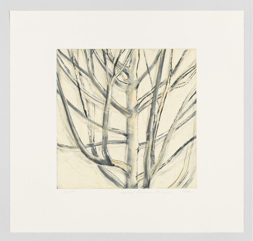 A simple charcoal drawing of tree trunks and bare branches centered on a pale background.