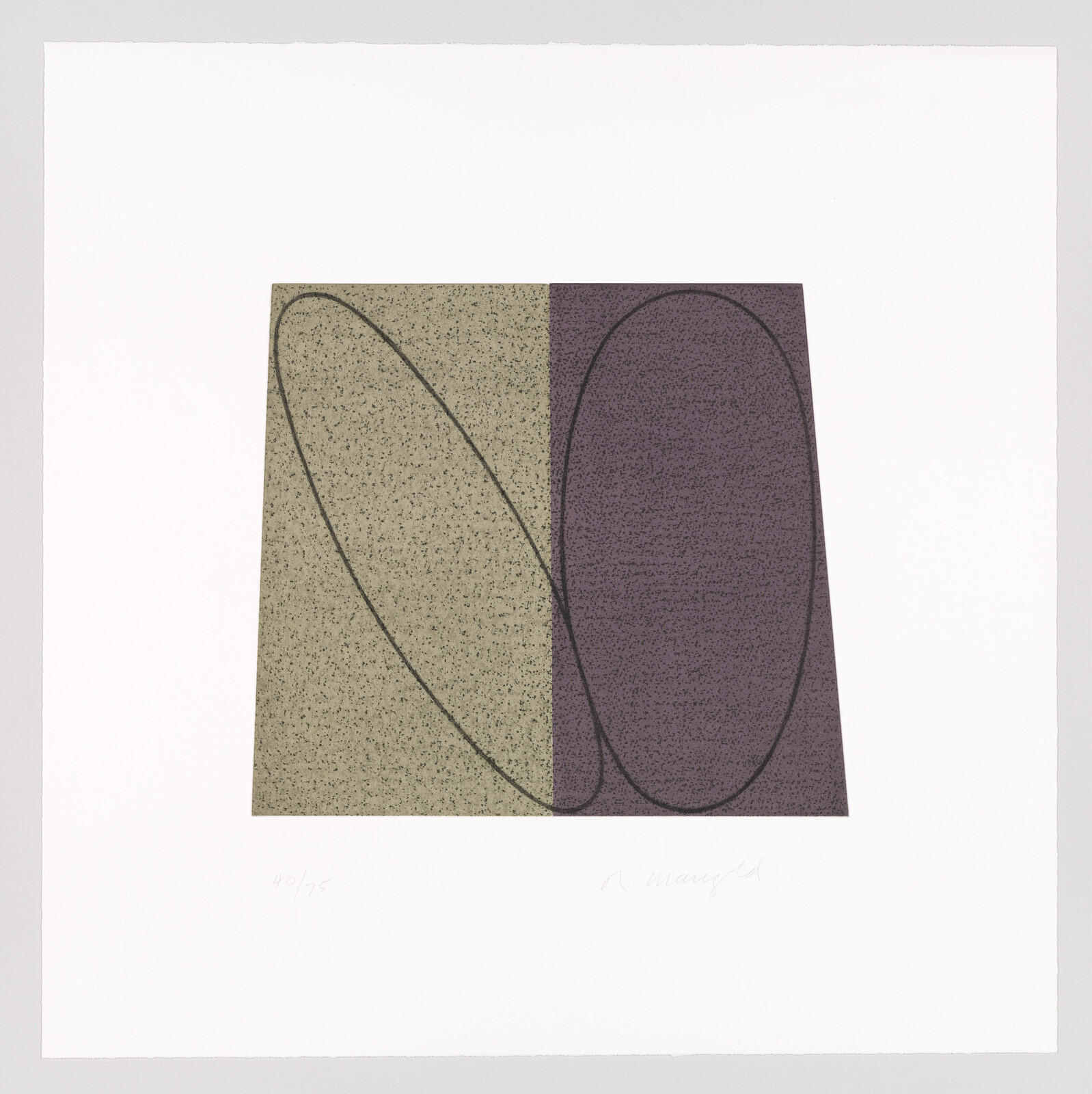 Two overlapping ovals drawn over a rectangle split into green and purple sections with a speckled texture.