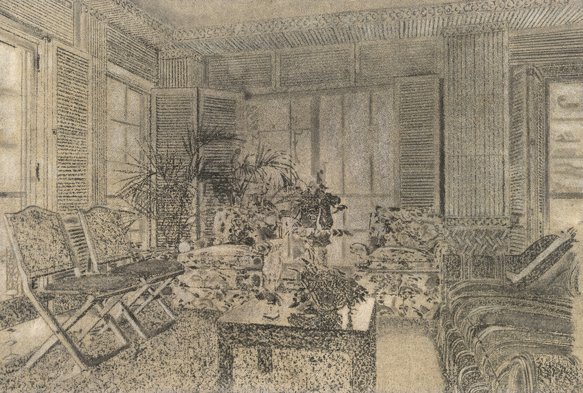 Cozy living room with patterned sofas, folding chairs, a low coffee table, and several potted plants.