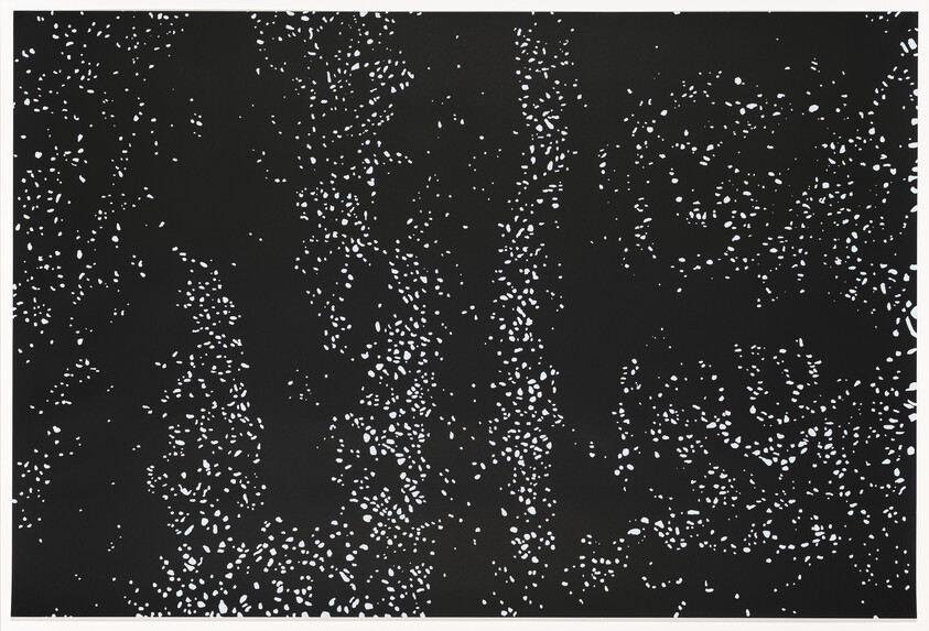 A black background with numerous small white speckles scattered across the surface, resembling a starry night sky.