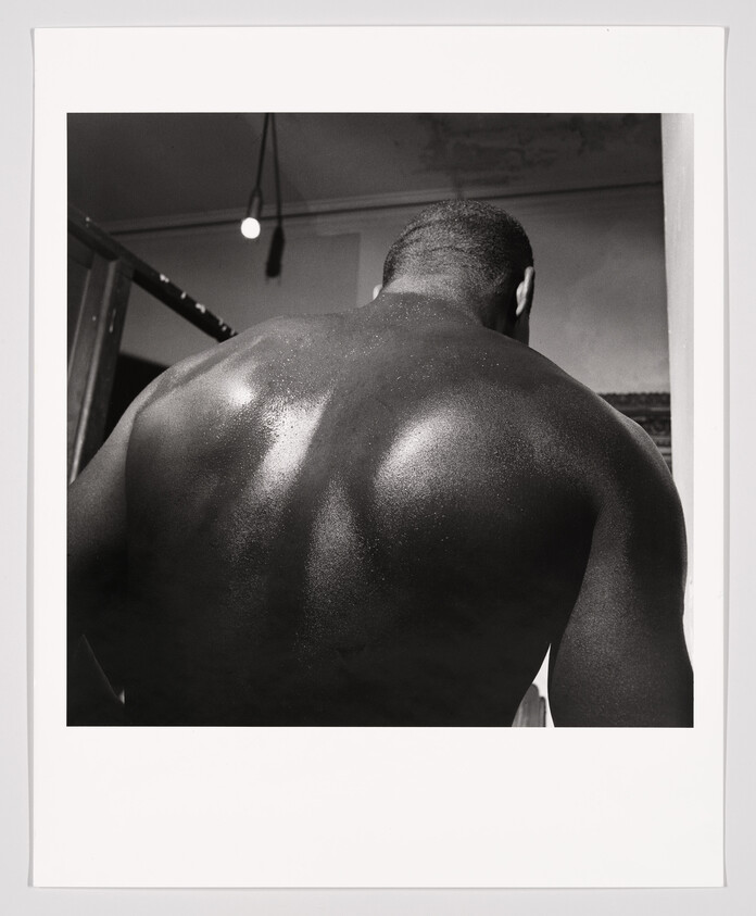 A muscular man’s sweaty bare back and shoulders under a hanging light in a gym.