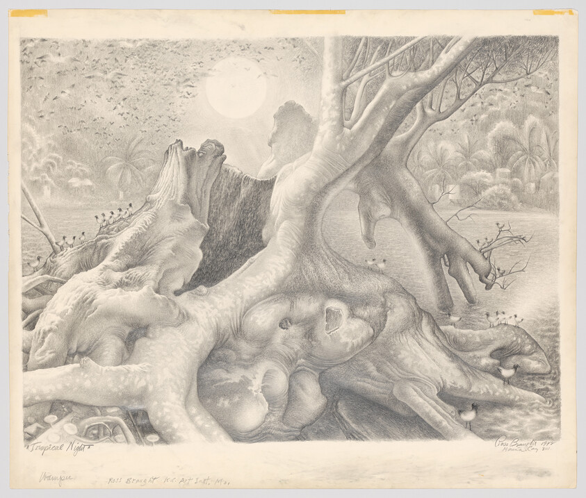 Massive twisted tree roots and a hollow stump under a bright moon with small birds.