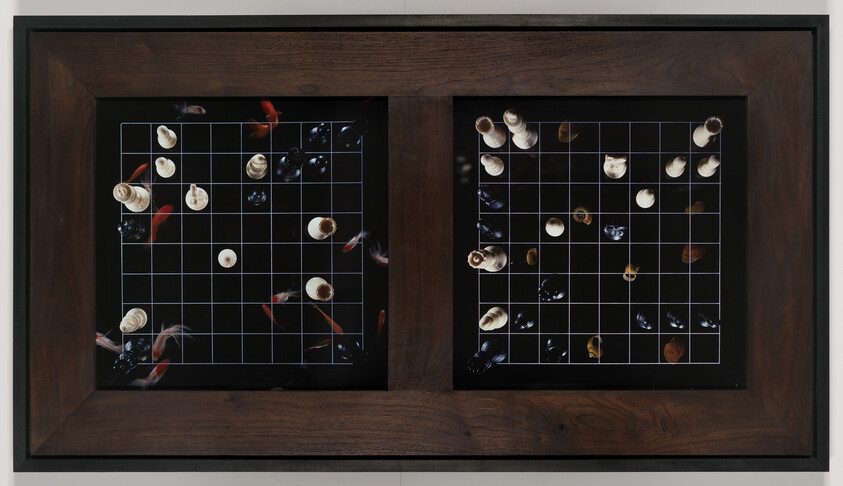 Two framed game boards with grid lines filled with seashell pieces and drifting goldfish.