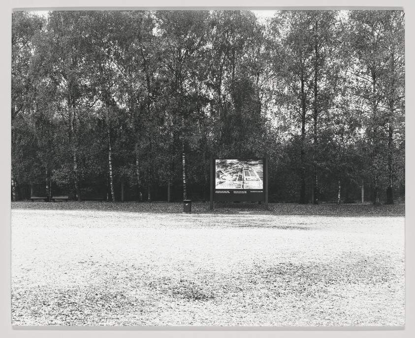 A black and white photograph depicting a tranquil park setting with a row of tall trees in the background and a large billboard featuring an image and text in the center. The foreground shows an expanse of open ground covered with small, light-colored pebbles or grass.
