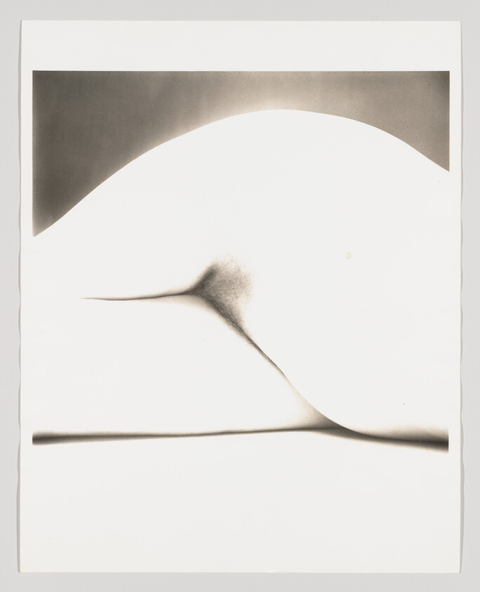 Close-up of a reclining nude torso and hip shown as soft, minimal grayscale curves.