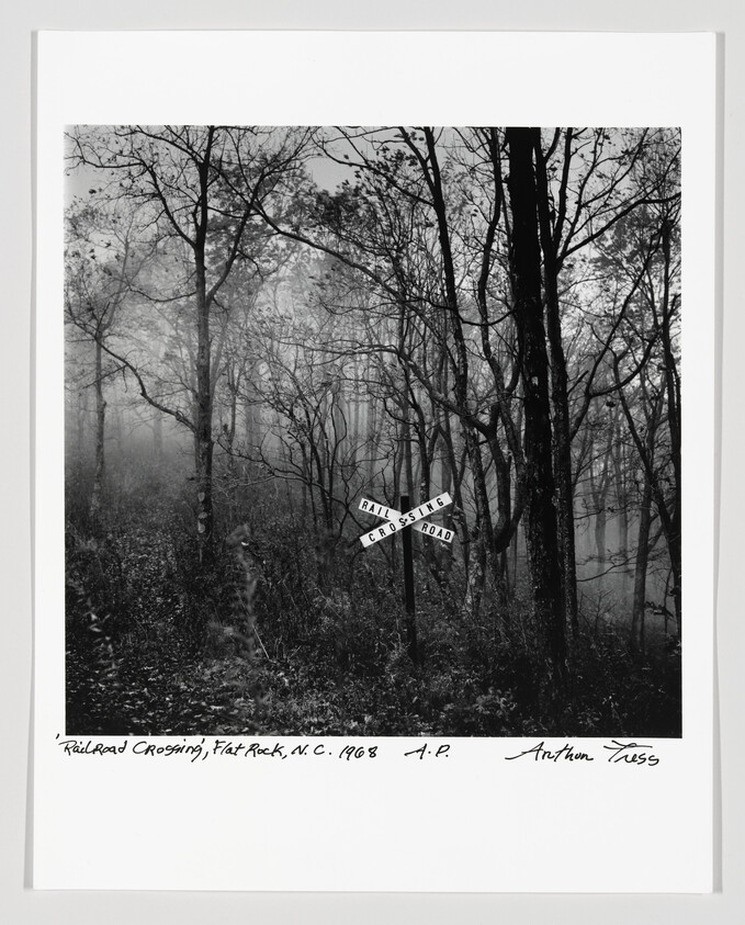 A foggy wooded area with a railroad crossing sign standing among bare trees.
