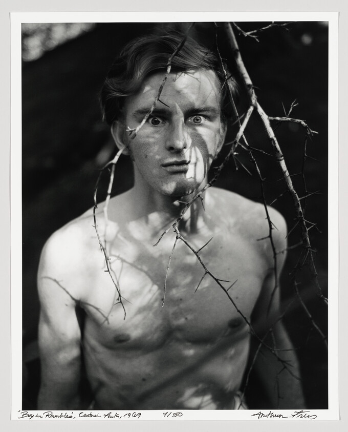 Shirtless young man stands among thin branches, wide-eyed and staring directly at the camera.