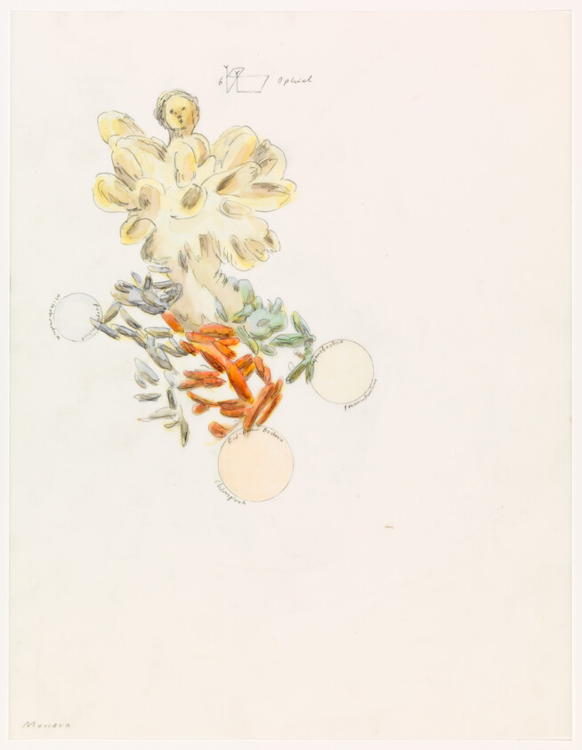 Delicate watercolor sketch of a coral-like flower with orange and green leaves and three pale circles.